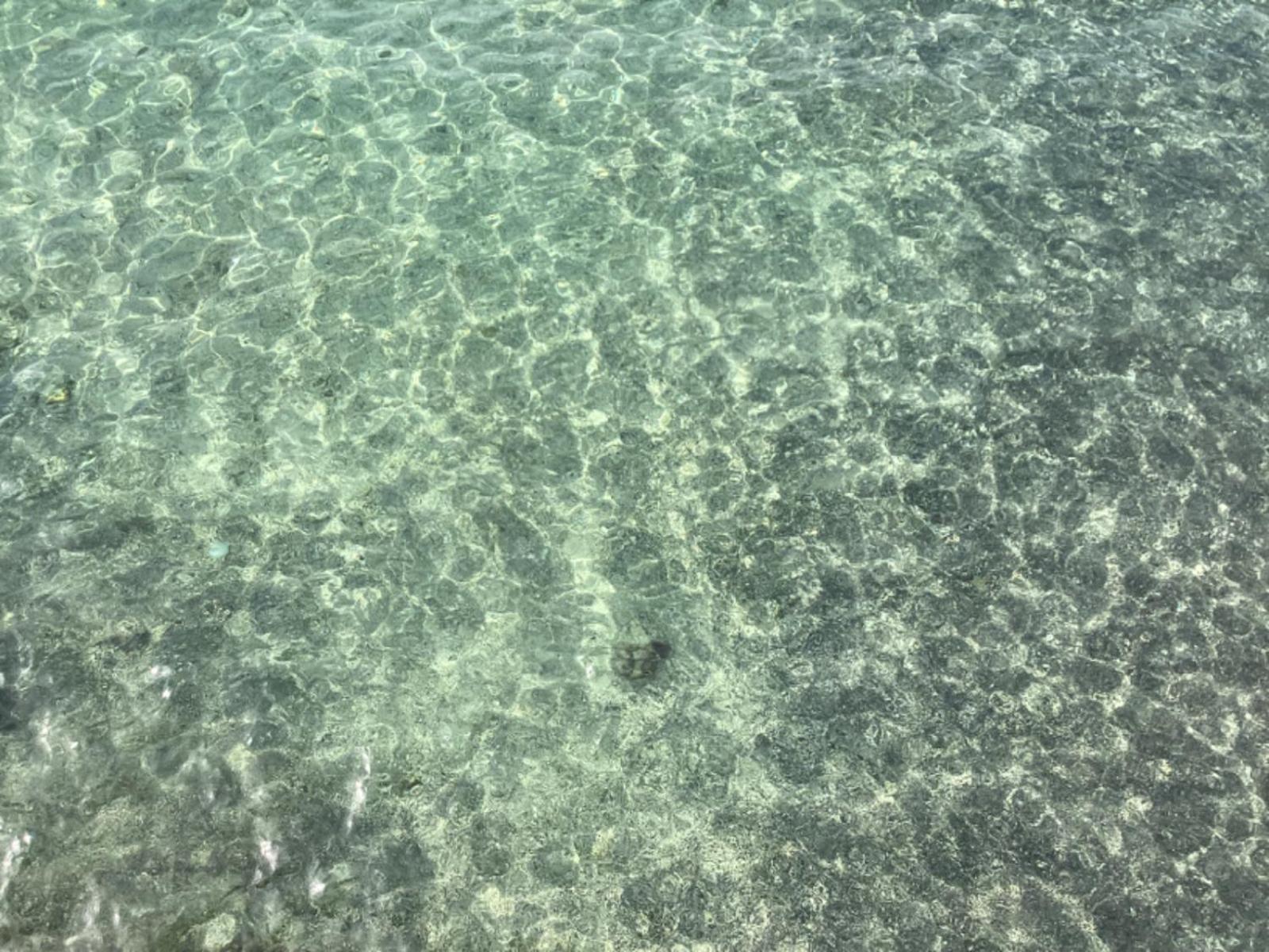 Puri Oka Beach Bungalows チャンディダサ エクステリア 写真